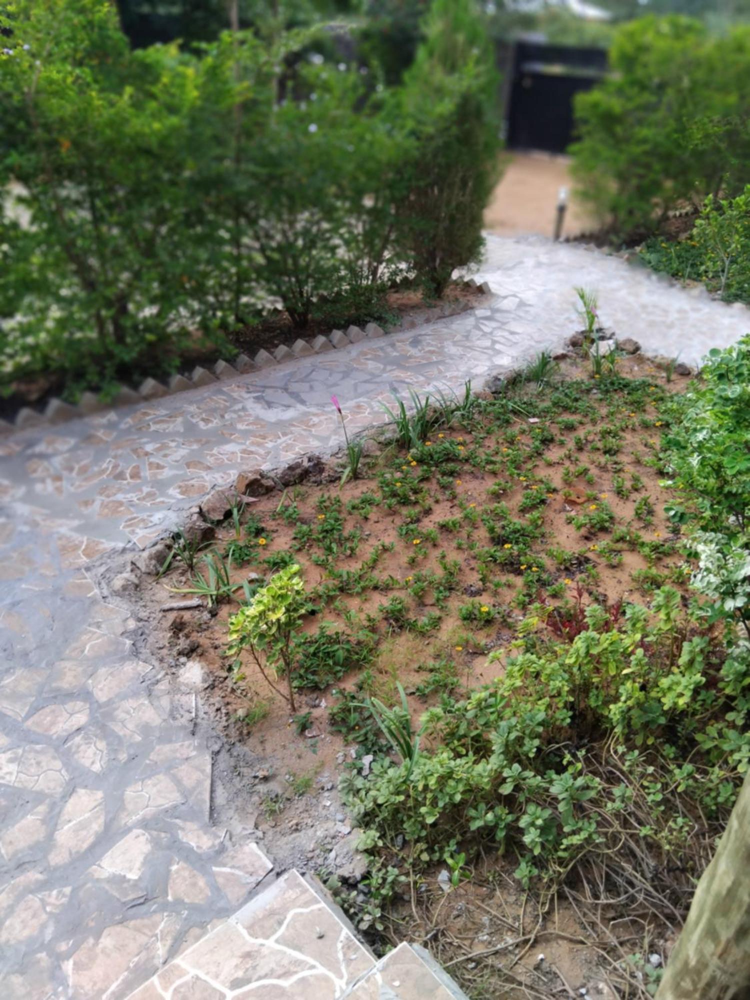 Sunshinevibe Guest House Kasane Dış mekan fotoğraf